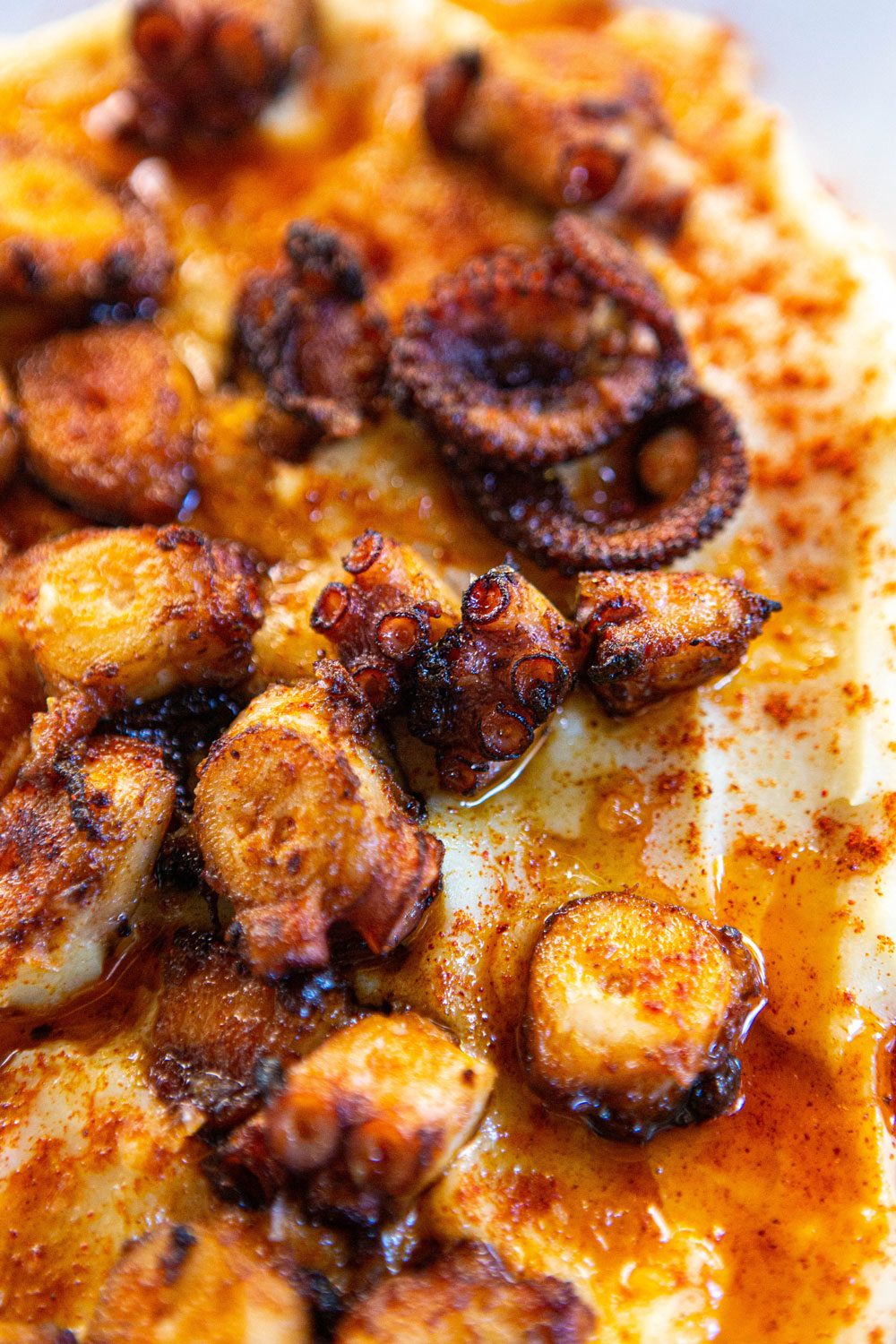 pulpo-penalver